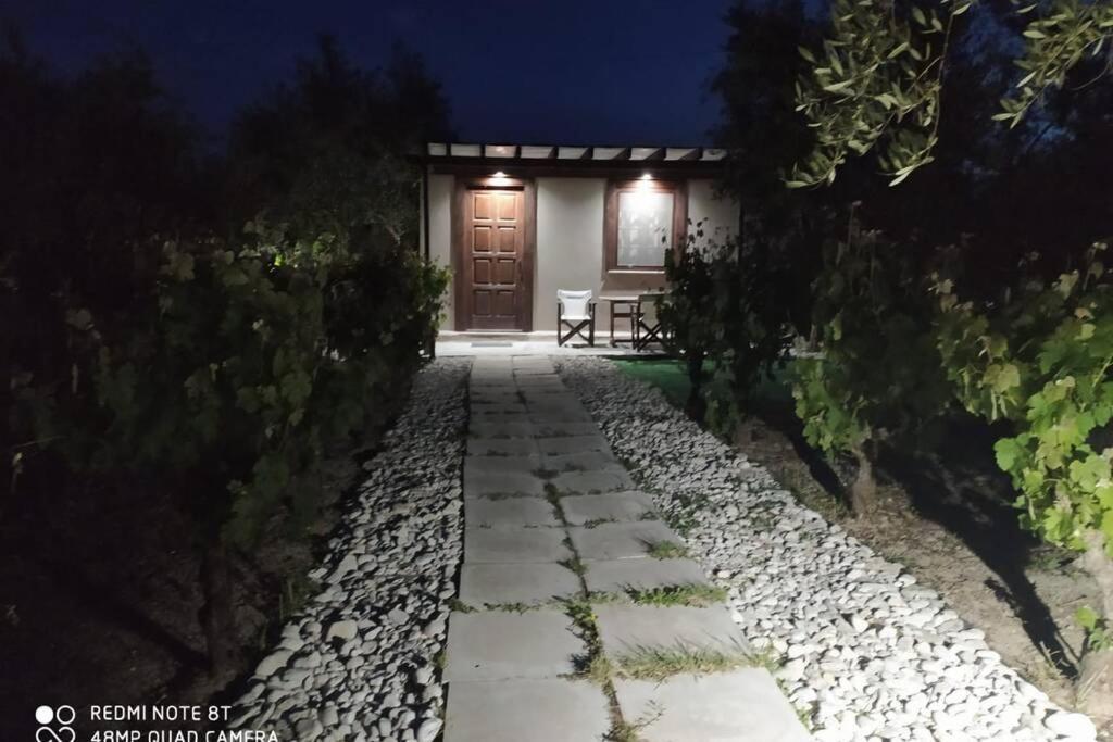 Raisin House Villa Koukounaria ภายนอก รูปภาพ